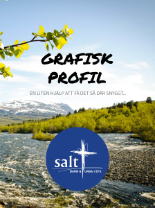 Grafisk profil Salt framsida 140407