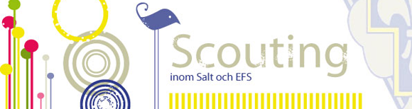 scouting_mail